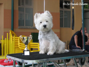 Mi trofeeeeoooooo!!!