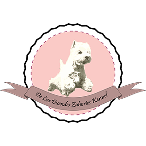 logo_duendes_300.png